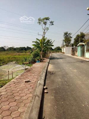 khu đất vinhomes đủ rộng. biệt thự đẹp. chung cư đẹp.