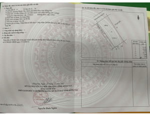 Nhà Chính Chủ Sổ Hồng Riêng Mặt Tiền Đinh Quang Ân Cần Bán