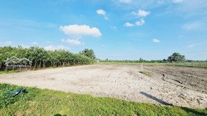 bán 19 x 52m (1003m2) đất thổ cư tân bình, thĩ xã lagi (rừng vàng) gần biển giá ngộp 1.75tr/m2