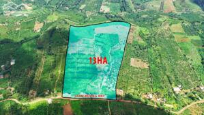 13ha đất rẫy cà phê và sầu riêng giá rẻ tại xã Trường Xuân tỉnh Lâm Đồng
