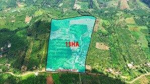 13ha đất rẫy cà phê và sầu riêng giá rẻ tại xã trường xuân tỉnh lâm đồng