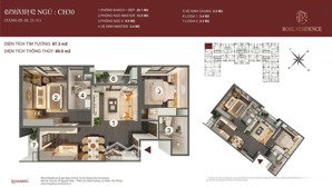 chỉ với 800 tr sở hữu ngay căn 2 ngủ 2wc tòa rose hoàng huy rose, ân hạn lãi gốc lên đến 24 tháng