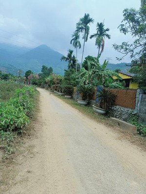 bán đất tại hòa ninh, hòa vang, đà nẵng, 3,2 tỷ, 1000m2, giá ưu đãi