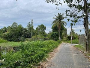 bán 5500m2 đất nông nghiệp giá 9,9tr/1m2 .đường nguyễn xiễn ,f long thạnh mỹ ,q9