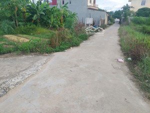 bán lô góc 2 mặt tiền gần cty unico & kcn thái đào tân an, yên dũng bắc giang