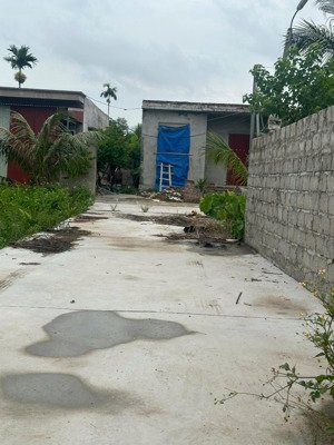 555m2 hợp đức đồ sơn hải phòng ngay chợ thích hợp đầu tư chia lô làm nhà vườn