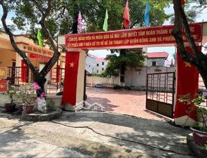 siêu phẩm phân lô,ô tô tải tránh,kinh doanh,vị trí vàng trong thôn phúc thọ ,xã đông anh ( mai lâm)