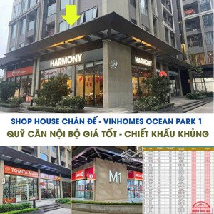 siêu phẩm shophouse góc vị trí vàng giá rẻ bất ngờ!