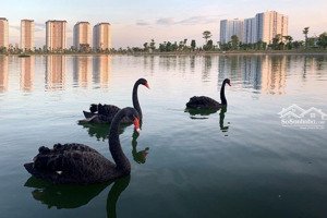 chính chủ cần tiền bán gấp đất 200m2 khu đô thị thanh hà cienco 5, hà đông, hà nội