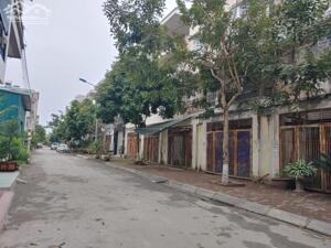 BÁN BIỆT THỰ SONG LẬP 175M2 TẠI KDT TÂN TÂY ĐÔ (sdt liên hệ: 0915458886)