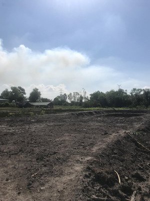 bán trang trại đẹp xuất sắc tại vĩnh thanh, nhơn trạch, đồng nai, 1,8 tỷ, 732 m2