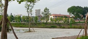 mặt phố/ bát tràng/ chử xá/ 12.x tỷ/ 156 m2/ 6.1 m tiền