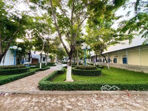 cực hiếm! đất 5x25m tặng nhà cấp 4, đối diện công viên, dân trí cao, giá 8,2 tỷ thương lượng