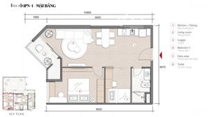 quỹ ngoại giao studio-1n-2n view biển đẹp nhất dự án sky m chiết khấu 16%