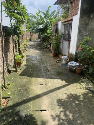 chính chủ nhờ bán lô đất van phúc thah trì giá tốt xây ở - đầu tư sinh lời giá chỉ 45tr/m oto vào