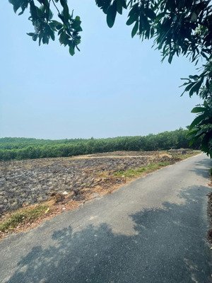 6000m viêt tay. view hồ hối khế. hoà phong.