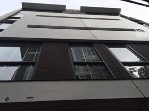 bán nhà 5tx35m2 đối diện plaza trương định. cách 10m ra mặt phố, thuận lợi ở, kd online, giá 7.5 tỷ