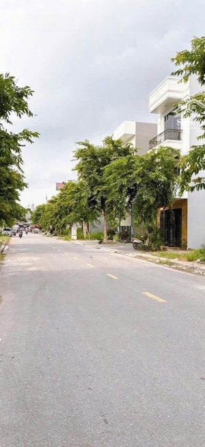 nam hồng trục thẳng chợ e còn 1 lô hót hít rẻ hơn hẳn những lô bên cạnh