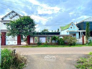 lô đất thổ cư mát mẻ còn xót lại tại bảo lâm, lâm đồng chỉ 499tr