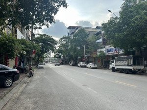 không gian sống đỉnh cao - biệt thự lô góc mái thái - vị trí vàng ven đô