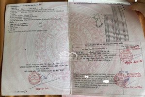 giá quá rẻ view sông hoả bông trang xuyên mộc hcm