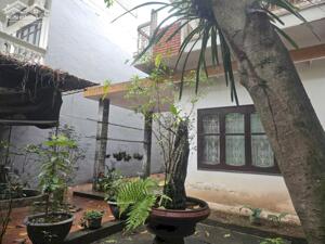 Bán đất xây Chung cư mini quận Hai Bà Trưng, 193m2 * 124 triệu / m2