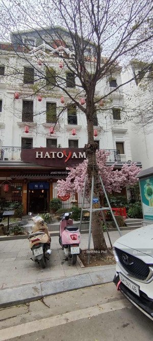 (hàng mới) tòa mặt phố nguyễn chánh 128m2 mt: 7.6m 7t thông sàn thang máy đang kd cực đông khách