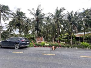 350m2 (7x50) mặt tiền đường tỉnh 877b - kinh doanh sầm uất đầu tư giá hời chỉ 799 triệu