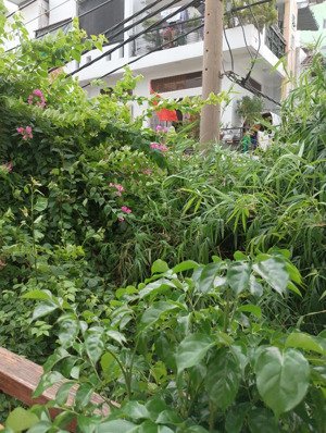 cho nữ thuê phòng riêng biệt đường nguyễn chí thanh, gần lý thường kiệt, quận 10.