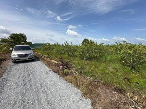 ** bán 600m đất vườn + 150m đất thổ. cách nhựa dt816 300m. xe hơi đậu ngay đất