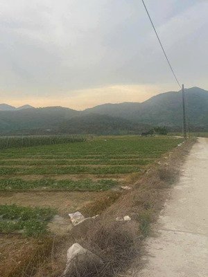 bán lô đất trồng cây lâu năm 3 măt tiền ở diên lâm - diên khánh