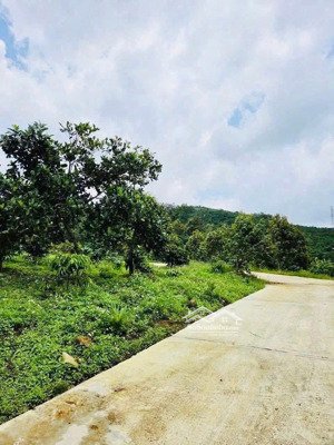 vườn trái cây bao suối xung quanh giá 1,45tỷ - diện tích 3456m2 