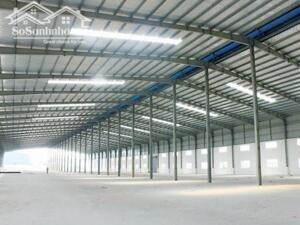 Cho Thuê Nhà Xưởng Trong Khu Công Nghiệp Bàu Bàng, Diện Tích 4950m2 30.000m2