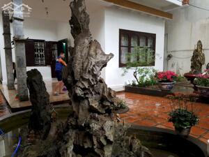 Bán nhà ngõ to Kim Ngưu, 193m2, sổ hồng, giá chỉ hơn 12x triệu/m2