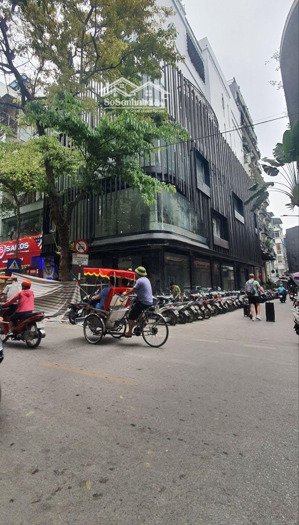 cho thuê nhà lô góc 3 tầng trung tâm hoàng đạo thúy nguyễn thị định