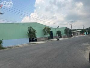 Cho thuê kho xưởng Logistics đa dạng diện tích từ 700m² đến 4.000m² có hệ thống PCCC và điện 3 pha, khu vực Q. Cái Răng, TP. Cần Thơ.