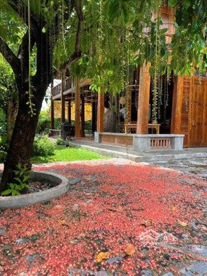 cả nhà thọ thêm mỗi người 5 tuổi