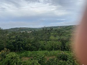 1 sào đất thuộc xã hoài đức cũ ngay trung tâm