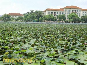 bán nhà phân lô tây hồ - view hồ tây - thiết kế đỉnh cao - mặt tiền rộng - 7 tầng - thang máy