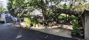 cần bán lô đất hẻm nhựa đường hàng tre .q9 cũ tp thủ đức - 10m x 23m