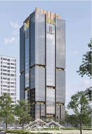 cho thuê văn phòng dt 650m2 giá 605 nghìn/m2/th mặt đường trần thái tông, hà nội