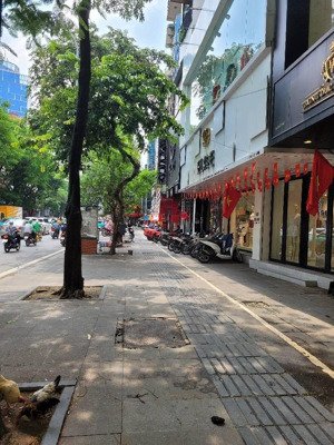 mặt phố thái hà -quận -đống đa -vỉa hè rộng-kinh doanh sầm uất -tấp nâp-nhộn nhịp -65 m2-mt -4 m
