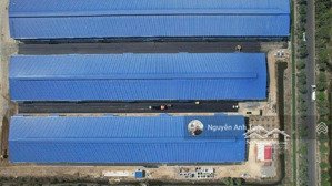 cho thuê nhà xưởng trong khu công nghiệp phú mỹ bà rịa vũng tàu