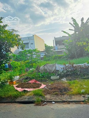 chuyển nhượng lô đất định cư đường 5m5 phù đổng