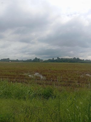 bán đất tại thôn tân thànhư,suối tiên, diên khánh, giá cực chất 2,2 tỷ, 153,4 m2