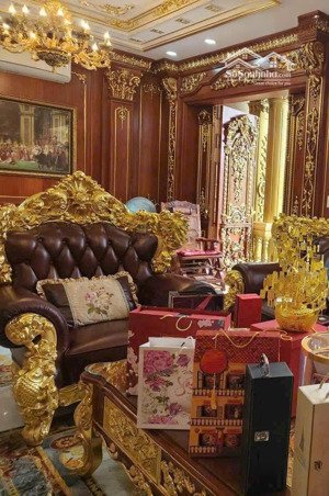 bán biệt thự cao cấp- sang trọng lê đức thọ, p7, gò vấp, tp.hcm . lh/ điệp 