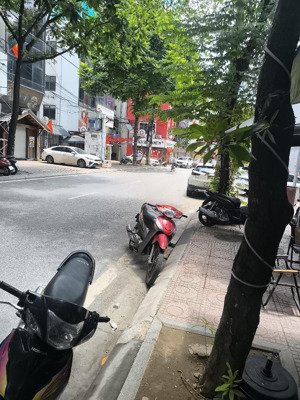 nhà lô góc ngõ thông kinh doanh trung tâm cầu giấy quan hoa, 50m, chào giá nhỉnh 13tỷ