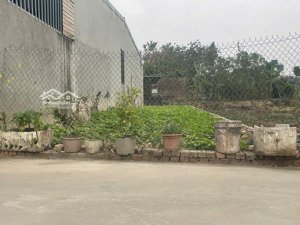 hàng mới siêu đẹp đạc tài sóc sơn chỉ hơn 3x