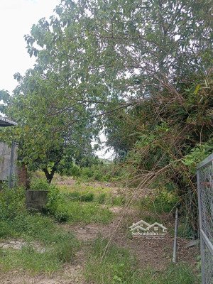 bán đất trồng cây tại thôn tân thành,suối tiên, diên khánh,giá ưu đãi 35 tỷ, diện tích 2261.4 m2