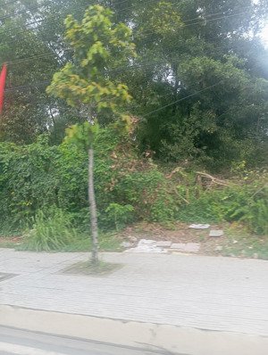 bán đất tại suối tiên, diên khánh, khánh hòa, 37 tỷ, 2194.7 m2 giá cực chất